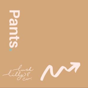 𝗕𝗢𝗧𝗧𝗢𝗠𝗦  ► ► ► ► ► ► ► ►